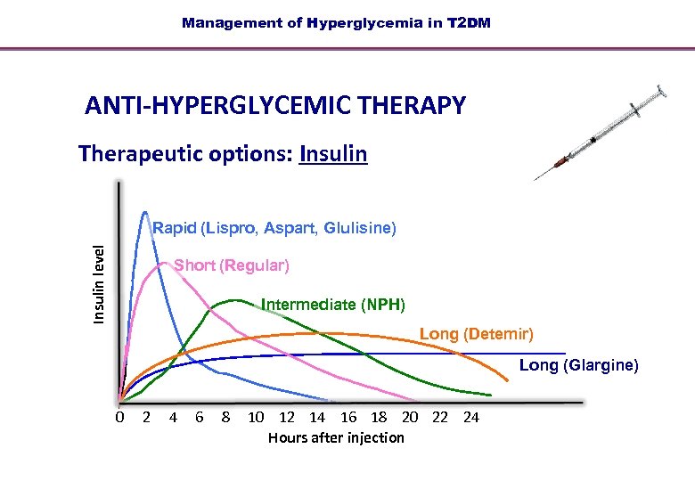 Management of Hyperglycemia in T 2 DM ANTI-HYPERGLYCEMIC THERAPY Therapeutic options: Insulin level Rapid