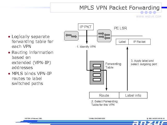 MPLS VPN Packet Forwarding WWW. ANZUR. COM IP PKT • Logically separate forwarding table