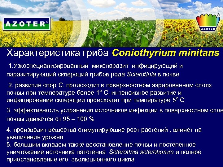 Характеристика гриба Coniothyrium minitans 1. Узкоспециализированный микопаразит инфицирующий и паразитирующий склероций грибов рода Sclerotínia