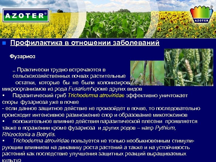 n Профилактика в отношении заболеваний Фузариоз , , Практически трудно встречаются в сельскохозяйственных почвах