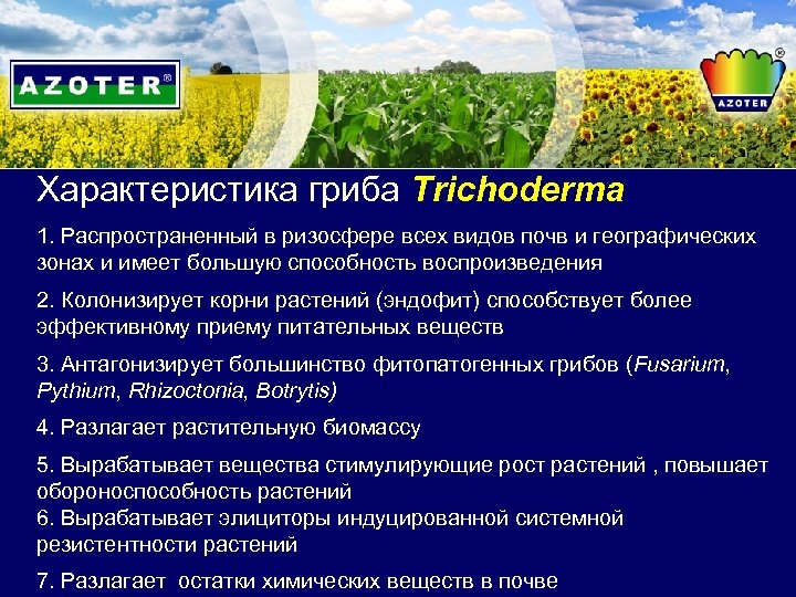 Характеристика гриба Trichoderma 1. Распространенный в ризосфере всех видов почв и географических зонах и