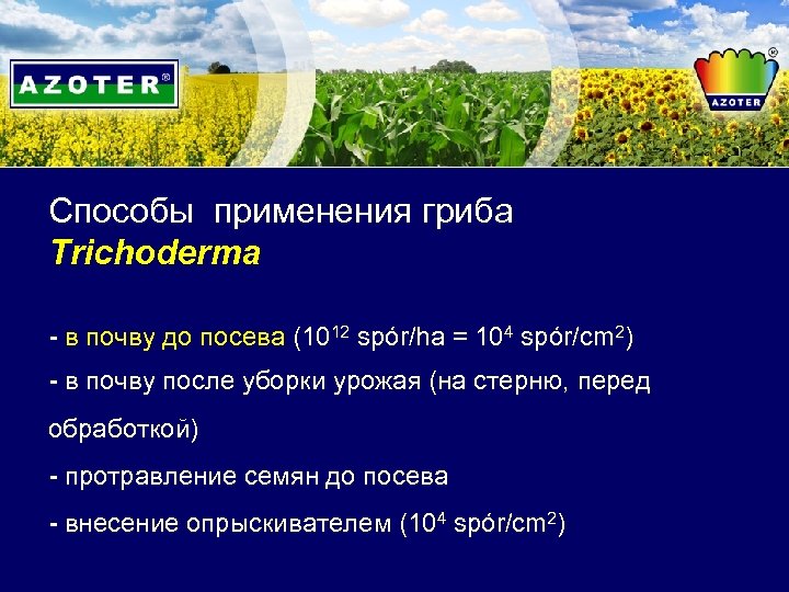 Способы применения гриба Trichoderma - в почву до посева (1012 spór/ha = 104 spór/cm