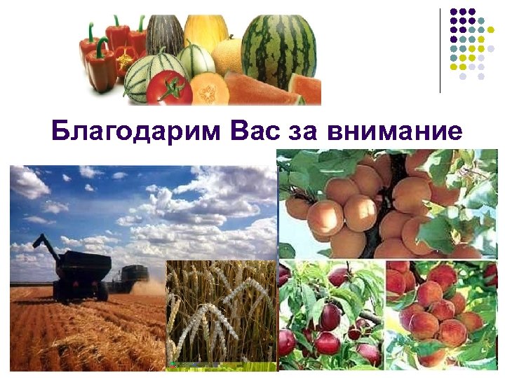 Благодарим Вас за внимание 17 