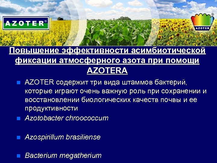 Повышение эффективности асимбиотической фиксации атмосферного азота при помощи AZOTERA n AZOTER содержит три вида