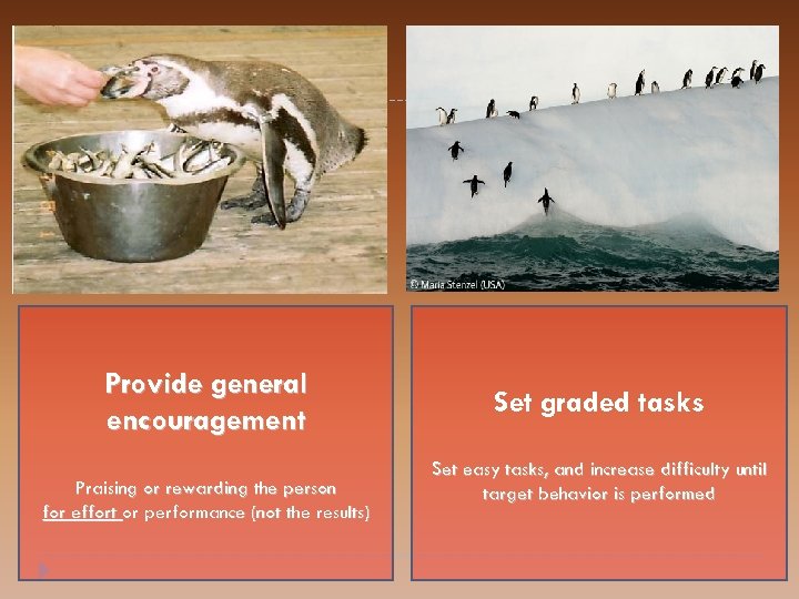 Provide general encouragement Praising or rewarding the person for effort or performance (not the