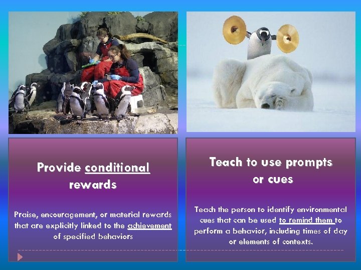 Provide conditional rewards Praise, encouragement, or material rewards that are explicitly linked to the