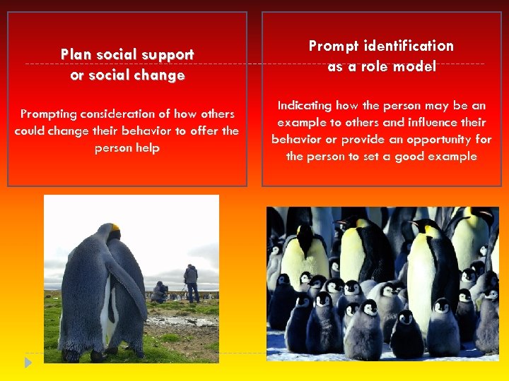 Plan social support or social change Prompting consideration of how others could change their