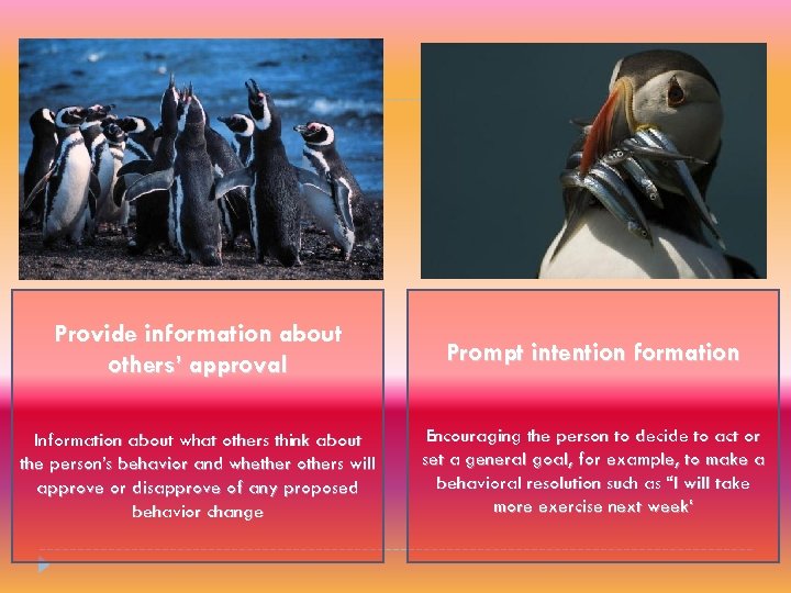 Provide information about others’ approval Prompt intention formation Information about what others think about