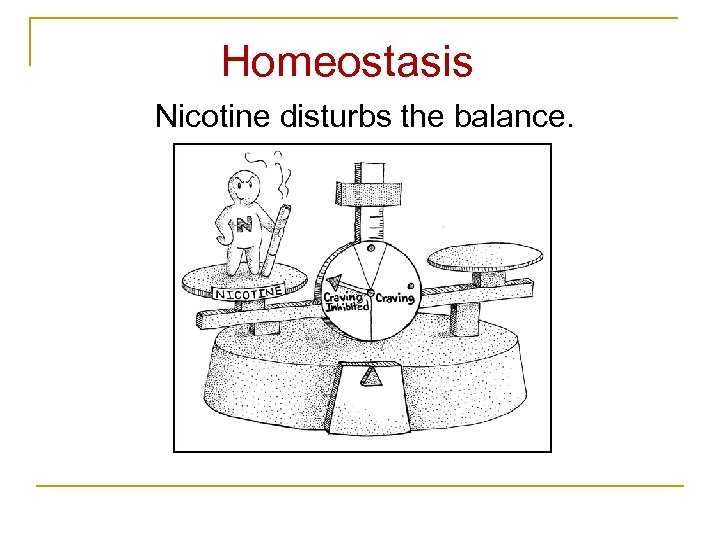 Homeostasis Nicotine disturbs the balance. 