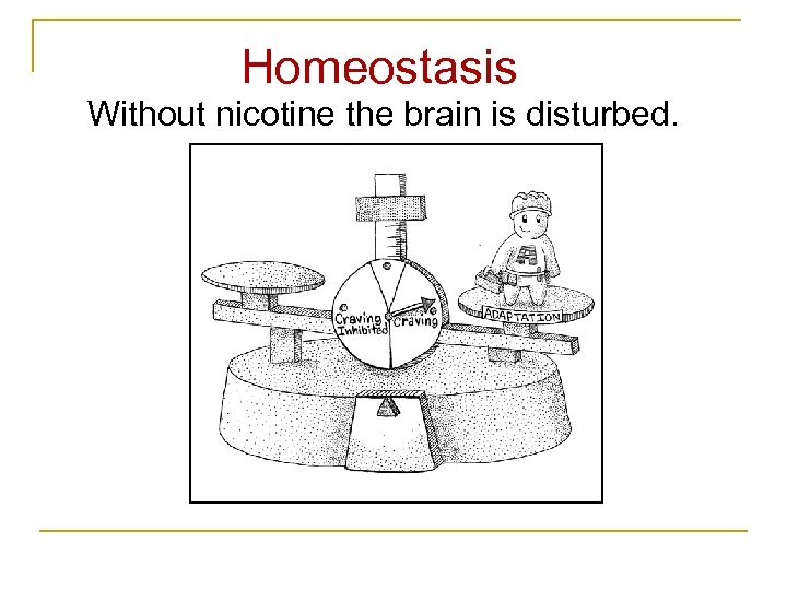 Homeostasis Without nicotine the brain is disturbed. 