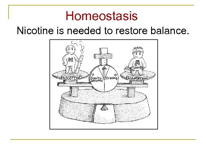 Homeostasis Nicotine is needed to restore balance. 