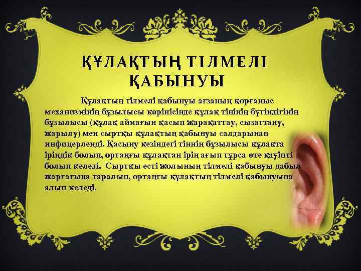 ҚҰЛАҚТЫҢ ТІЛМЕЛІ ҚАБЫНУЫ Құлақтың тілмелі қабынуы ағзаның қорғаныс механизмінің бұзылысы көрінісінде құлақ тінінің бүтіндігінің