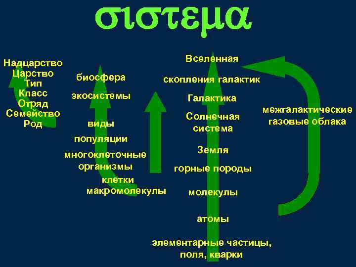 Царство род тип вид. Надцарство царство Тип класс. Человек Империя Надцарство царство. Надцарство царство Тип класс отряд семейство род вид. Порядок класс отдел царство Надцарство.