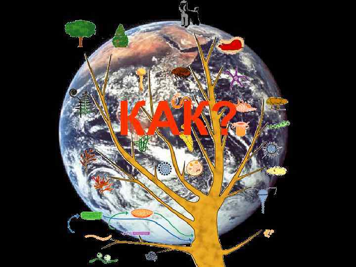 Ок. 7 млрд. лет Ок. 13 млрд. лет 4, 5 млрд. лет КАК? 