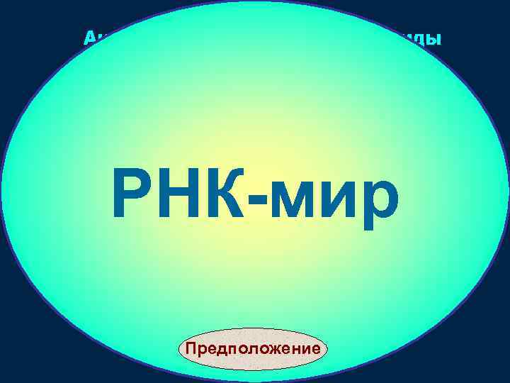 Активированныe рибонуклеотиды РНК-мир РНК Предположение 