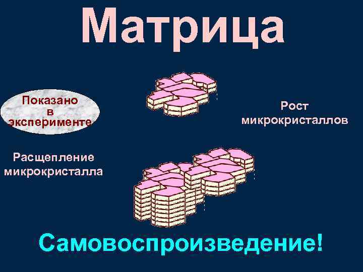 Матрица Показано в эксперименте Рост микрокристаллов Расщепление микрокристалла Самовоспроизведение! 