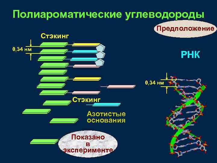 Полиароматические углеводороды Предположение Стэкинг 0, 34 нм РНК 0, 34 нм Стэкинг Азотистые основания