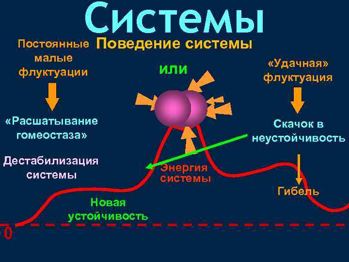 Системы Постоянные малые флуктуации Поведение системы или «Расшатывание гомеостаза» Дестабилизация системы Новая устойчивость 0