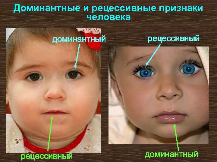 Доминантные и рецессивные признаки человека доминантный рецессивный доминантный 