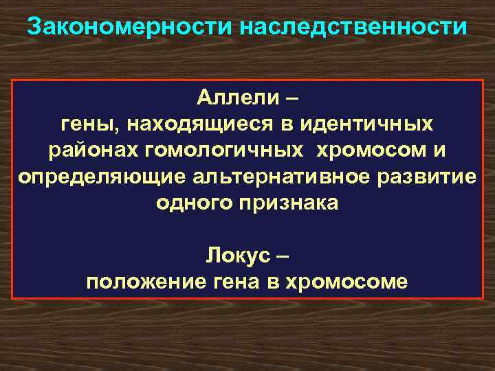Закономерности наследственности Аллели – гены, находящиеся в идентичных районах гомологичных хромосом и определяющие альтернативное