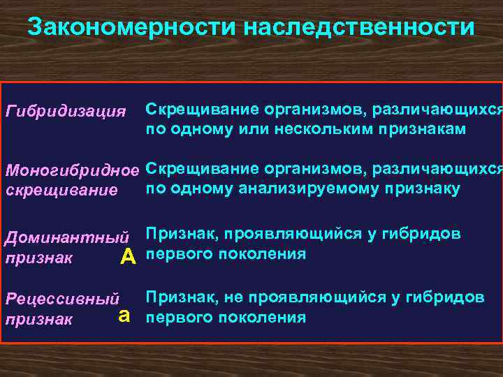 Закономерности наследственности Гибридизация Скрещивание организмов, различающихся по одному или нескольким признакам Моногибридное Скрещивание организмов,