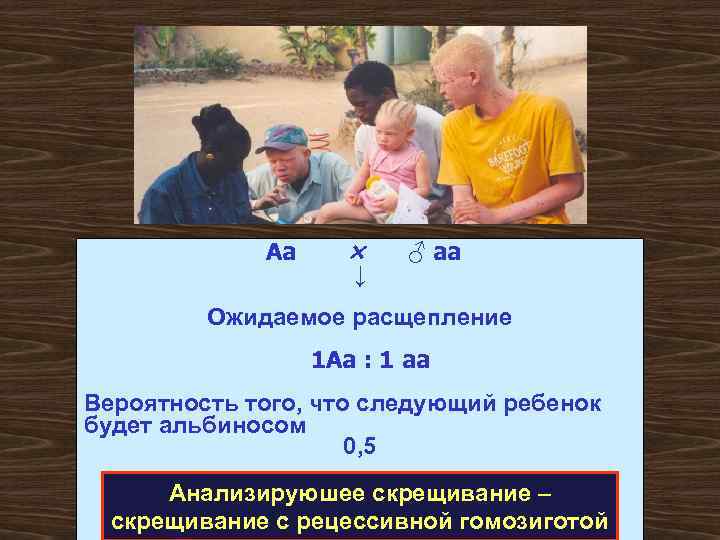 Аа × ↓ ♂ аа Ожидаемое расщепление 1 Аа : 1 аа Вероятность того,