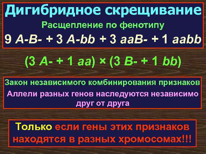 Дигибридное скрещивание Расщепление по фенотипу 9 A-B- + 3 A-bb + 3 aa. B-