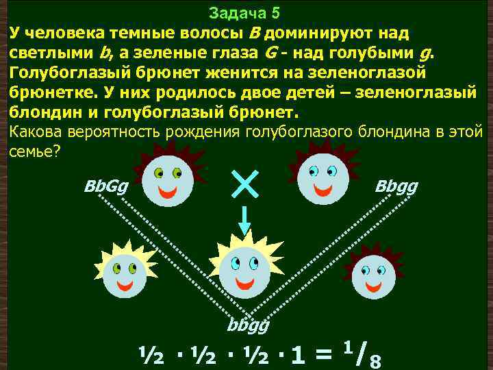 У человека темные волосы доминируют над светлыми. Темный цвет волос доминирует над светлым. Глаза доминируют над голубыми. У человека темный цвет волос а доминирует над светлым цветом.