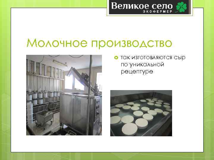 Молочное производство так изготовляются сыр по уникальной рецептуре 