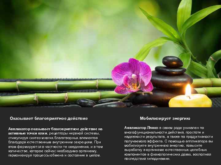 6 W W W. W E B S I T E. C O M