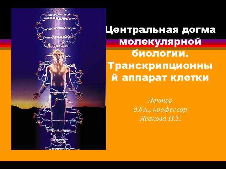 Центральная догма молекулярной биологии. Транскрипционны й аппарат клетки Лектор д. б. н. , профессор