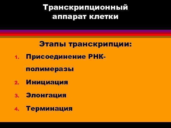 Транскрипционный аппарат клетки Этапы транскрипции: 1. Присоединение РНКполимеразы 2. Инициация 3. Элонгация 4. Терминация