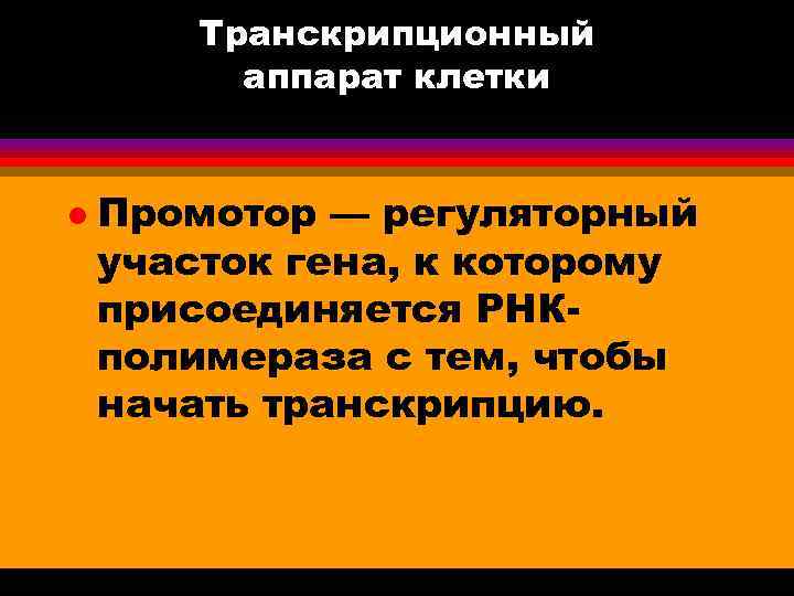 Транскрипционный аппарат клетки l Промотор — регуляторный участок гена, к которому присоединяется РНКполимераза с