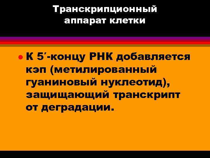 Транскрипционный аппарат клетки l К 5′-концу РНК добавляется кэп (метилированный гуаниновый нуклеотид), защищающий транскрипт