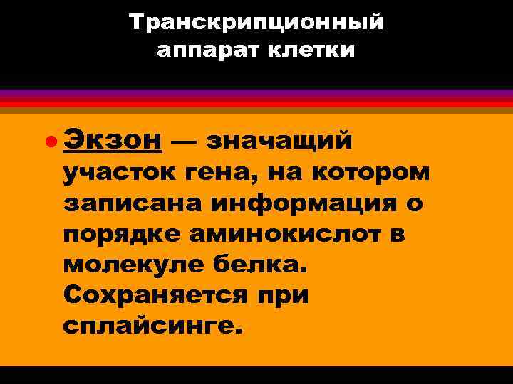 Транскрипционный аппарат клетки l Экзон — значащий участок гена, на котором записана информация о