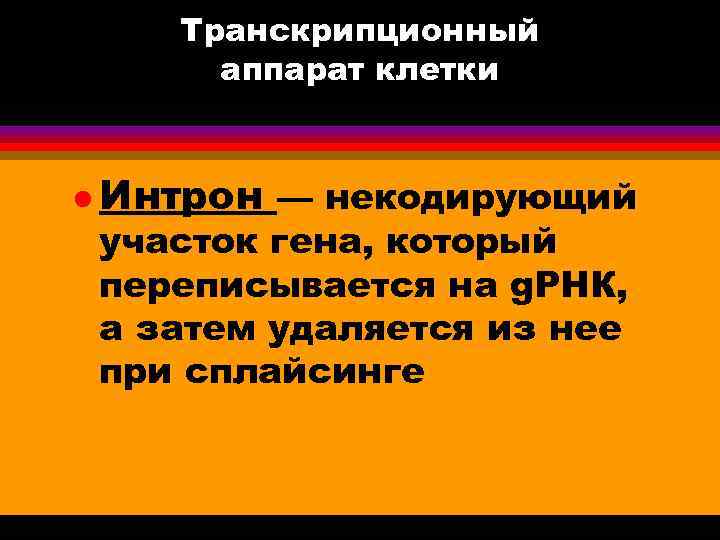 Транскрипционный аппарат клетки l Интрон — некодирующий участок гена, который переписывается на g. РНК,