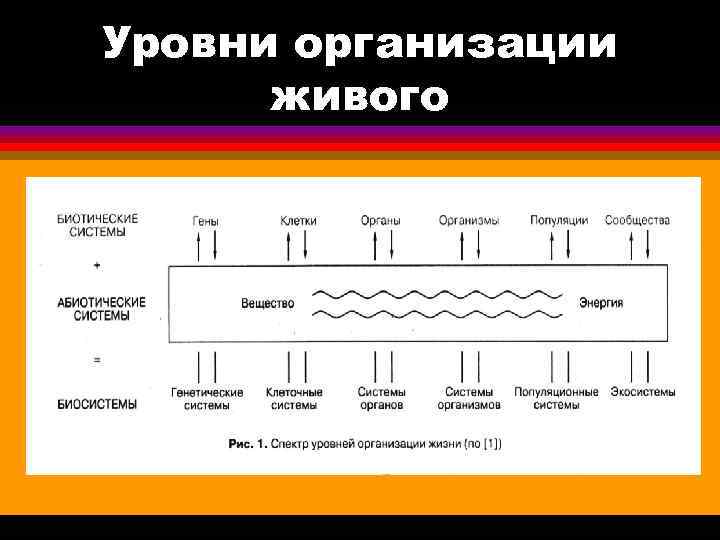 Уровни организации живого 