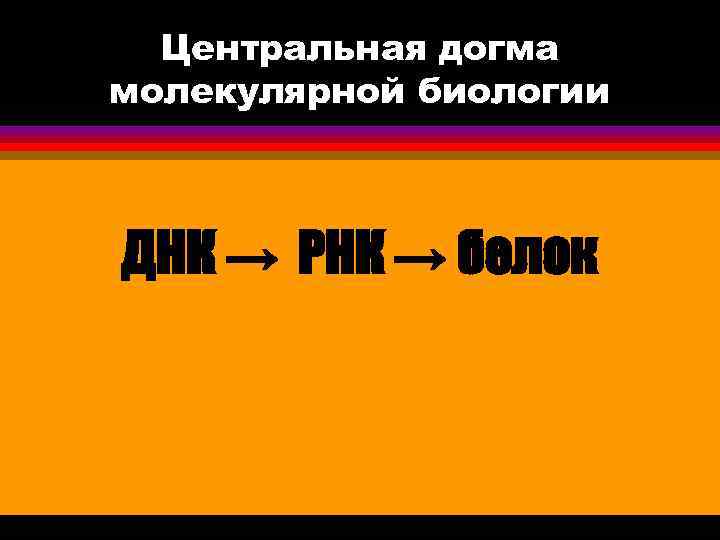 Центральная догма молекулярной биологии ДНК → РНК → белок 