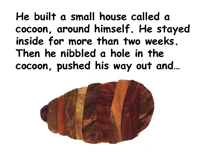 He built a small house called a cocoon, around himself. He stayed inside for