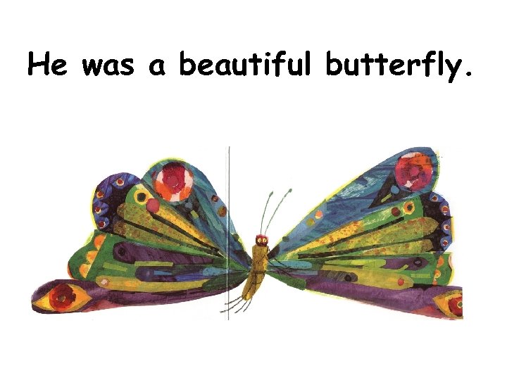 He was a beautiful butterfly. 