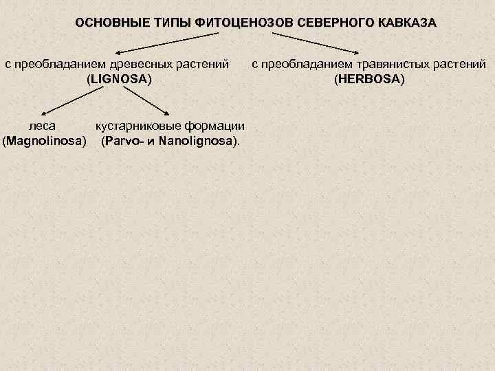 ОСНОВНЫЕ ТИПЫ ФИТОЦЕНОЗОВ СЕВЕРНОГО КАВКАЗА с преобладанием древесных растений (LIGNOSA) леса кустарниковые формации (Magnolinosa)