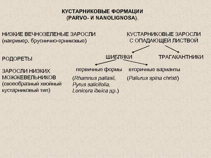 КУСТАРНИКОВЫЕ ФОРМАЦИИ (PARVO- И NANOLIGNOSA). НИЗКИЕ ВЕЧНОЗЕЛЕНЫЕ ЗАРОСЛИ (например, бруснично-ерниковые) РОДОРЕТЫ ЗАРОСЛИ НИЗКИХ МОЖЖЕВЕЛЬНИКОВ