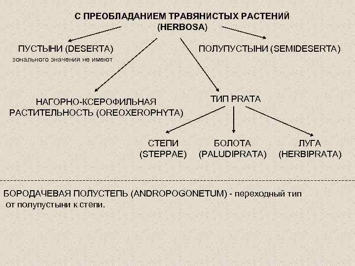 С ПРЕОБЛАДАНИЕМ ТРАВЯНИСТЫХ РАСТЕНИЙ (HERBOSA) ПУСТЫНИ (DESERTA) ПОЛУПУСТЫНИ (SEMIDESERTA) зонального значения не имеют НАГОРНО-КСЕРОФИЛЬНАЯ