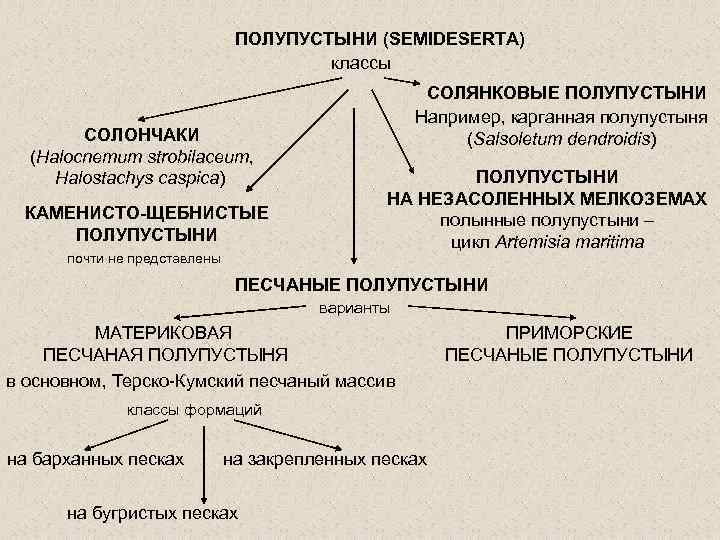 ПОЛУПУСТЫНИ (SEMIDESERTA) классы СОЛОНЧАКИ (Halocnemum strobilaceum, Halostachys caspica) КАМЕНИСТО-ЩЕБНИСТЫЕ ПОЛУПУСТЫНИ почти не представлены СОЛЯНКОВЫЕ