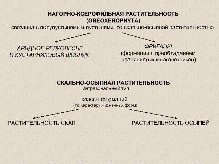 НАГОРНО-КСЕРОФИЛЬНАЯ РАСТИТЕЛЬНОСТЬ (OREOXEROPHYTA) связанна с полупустынями и пустынями, со скально-осыпной растительностью АРИДНОЕ РЕДКОЛЕСЬЕ И