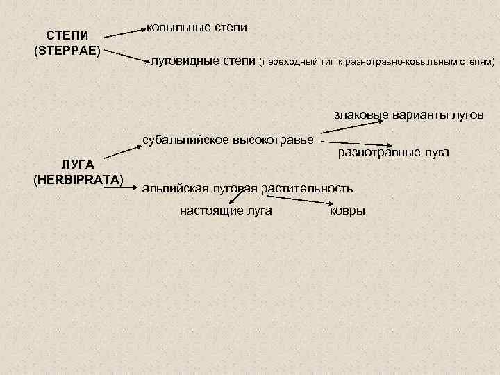 СТЕПИ (STEPPAE) ковыльные степи луговидные степи (переходный тип к разнотравно-ковыльным степям) злаковые варианты лугов