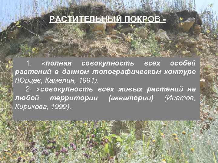 РАСТИТЕЛЬНЫЙ ПОКРОВ - 1. «полная совокупность всех особей растений в данном топографическом контуре (Юрцев,