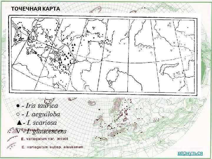 ТОЧЕЧНАЯ КАРТА ● - Iris taurica ○ - I. aeguiloba ▲- I. scariosa -