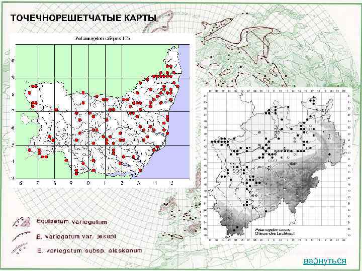 ТОЧЕЧНОРЕШЕТЧАТЫЕ КАРТЫ вернуться 