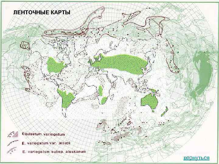 Предел ареала